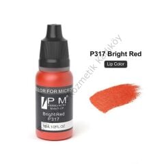 Permanent Makeup Parlak Koyu Kırmızı Kalıcı Makyaj Pigmenti PM 317 Bright Red
