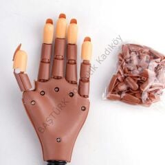 PROTEZ TIRNAK VE KALICI OJE MASA TİPİ ROBOTİK EĞİTİM ELİ