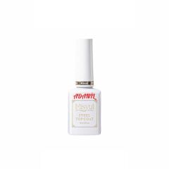 Adanil 15 ml Misyul Profesyonel Steel Parlak Çizilmez Top Coat